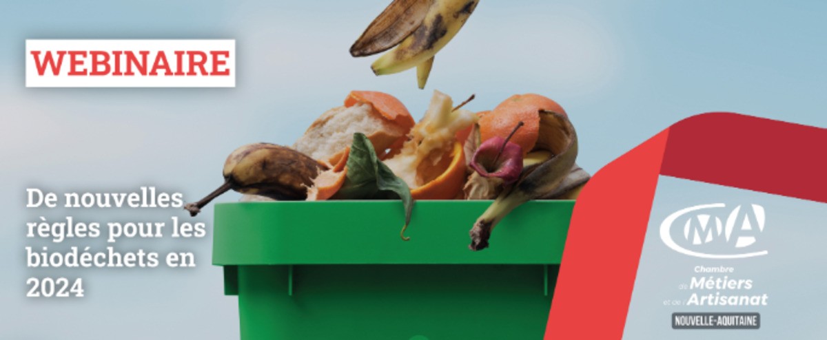 Solutions de gestion des biodéchets : compostages et collectes