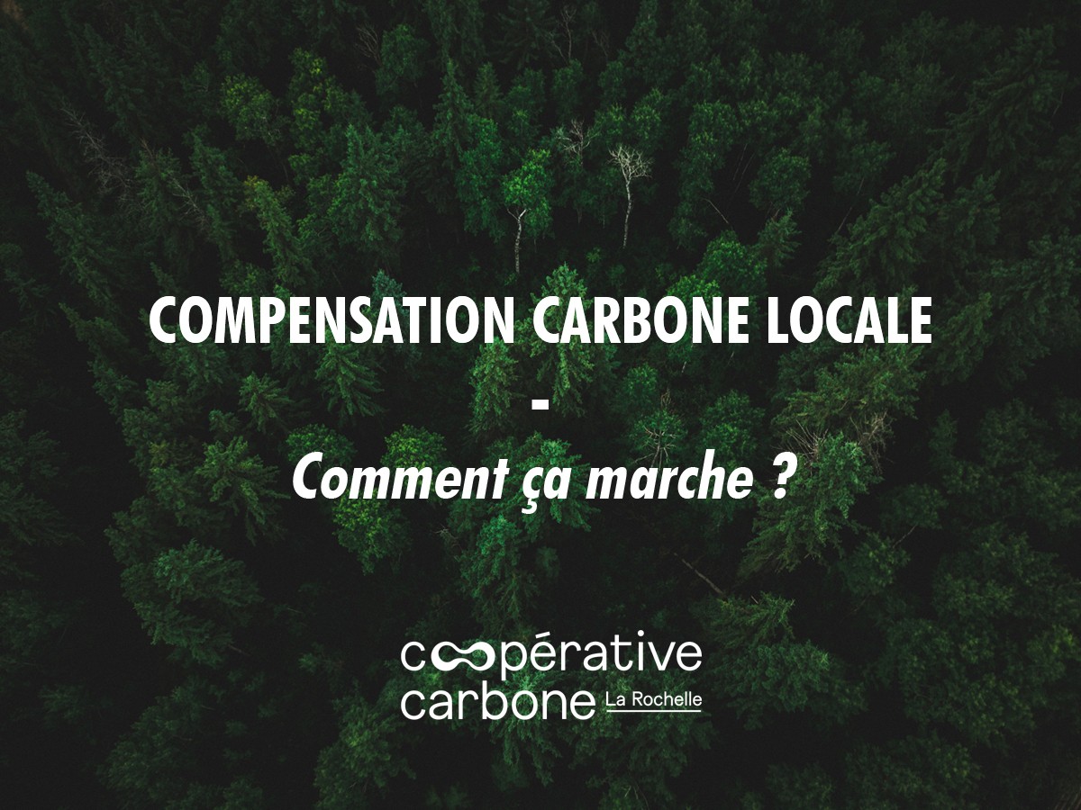 WEBINAIRE Compensation carbone locale - comment ça marche ?