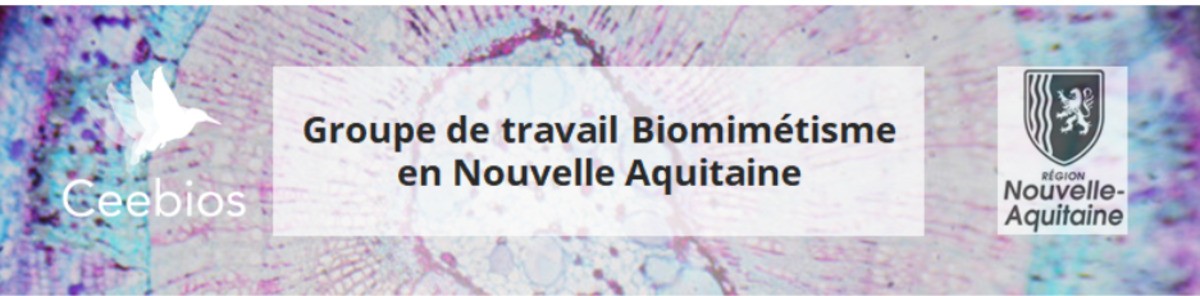 Groupe de travail Biomimétisme en Nouvelle-Aquitaine coanimé par le Ceebios et la Région / 